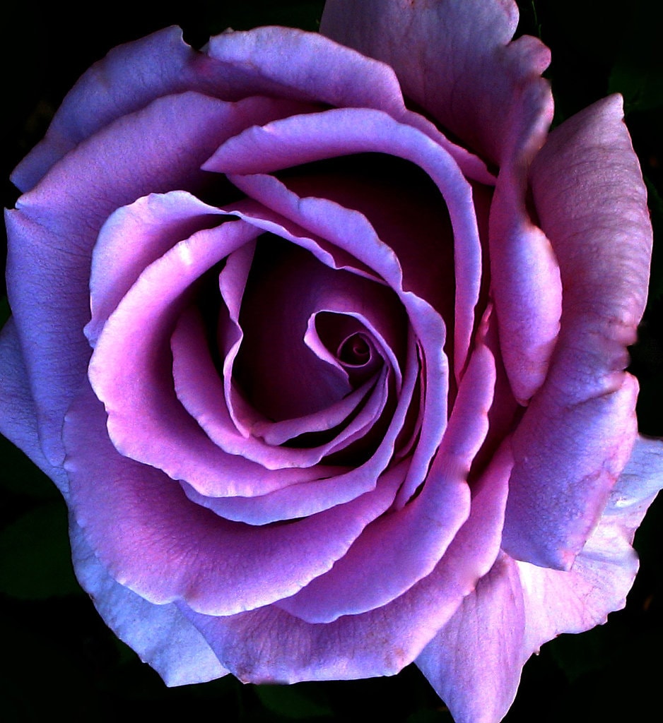 Destash beads for Anna