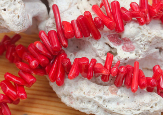 Red Coral Stick Beads / Lovely Markings and Tones / 7-16mm / Coral Beads / Rustic shell beads / 6 beads